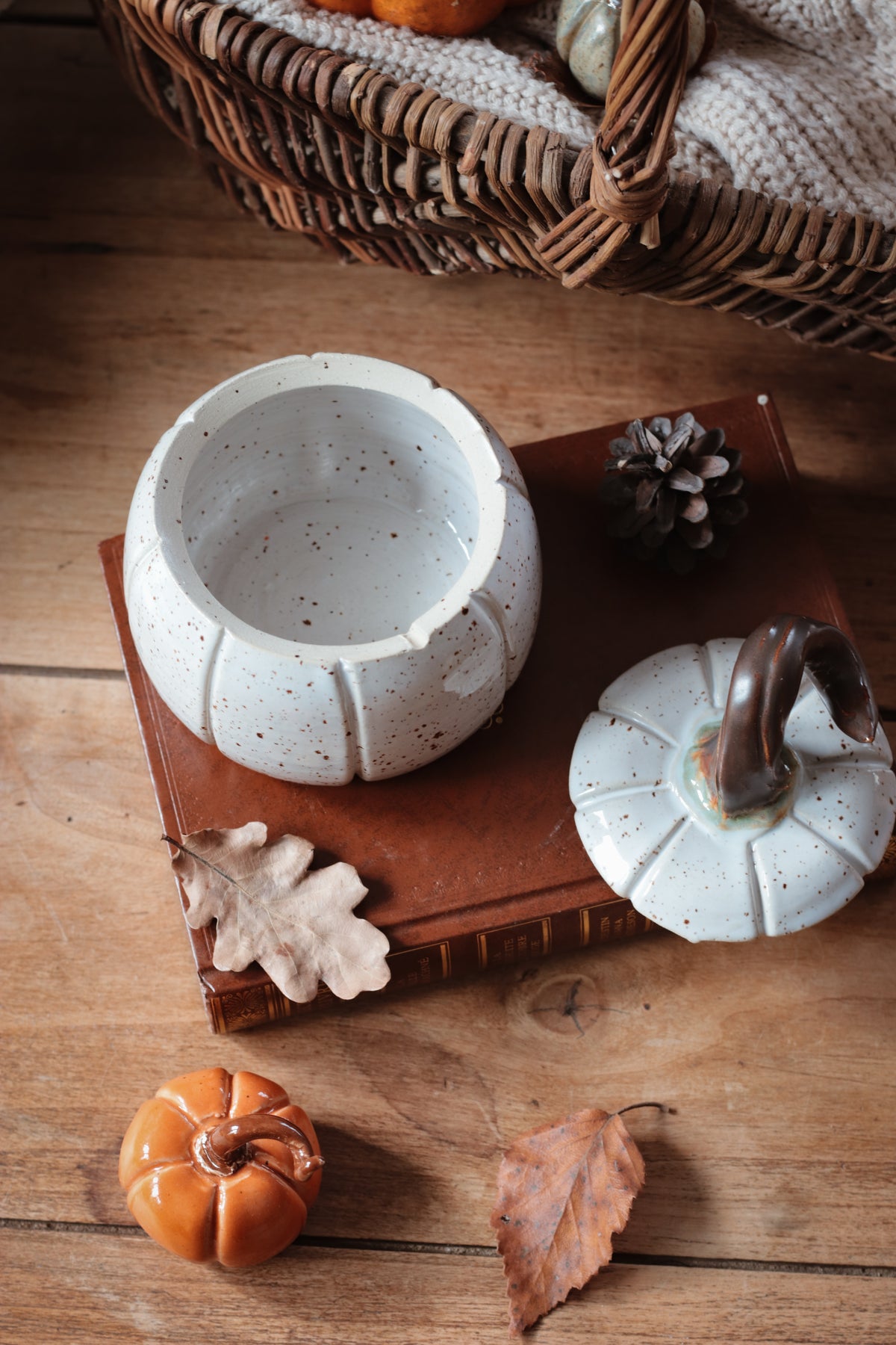 Boîte citrouille - Vanilla bean