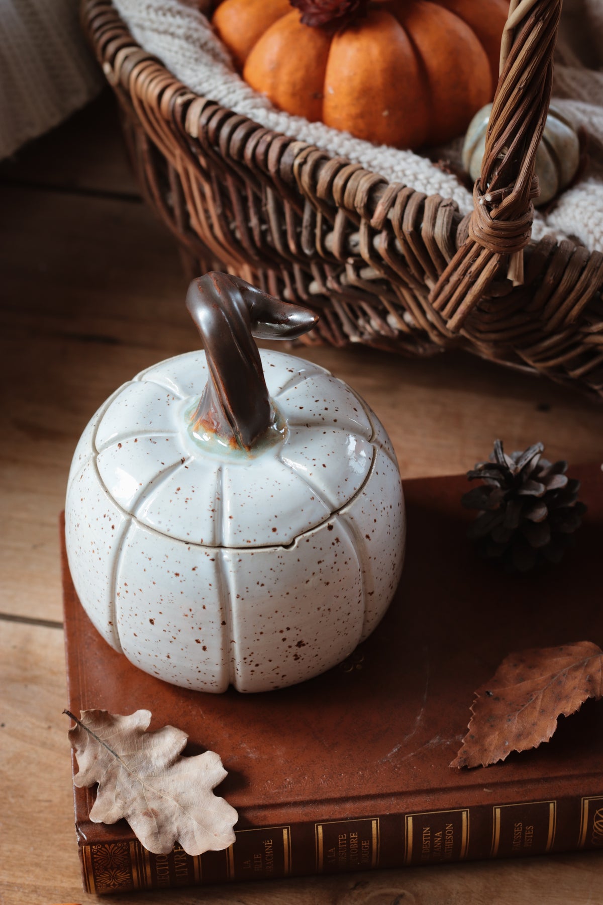 Boîte citrouille - Vanilla bean