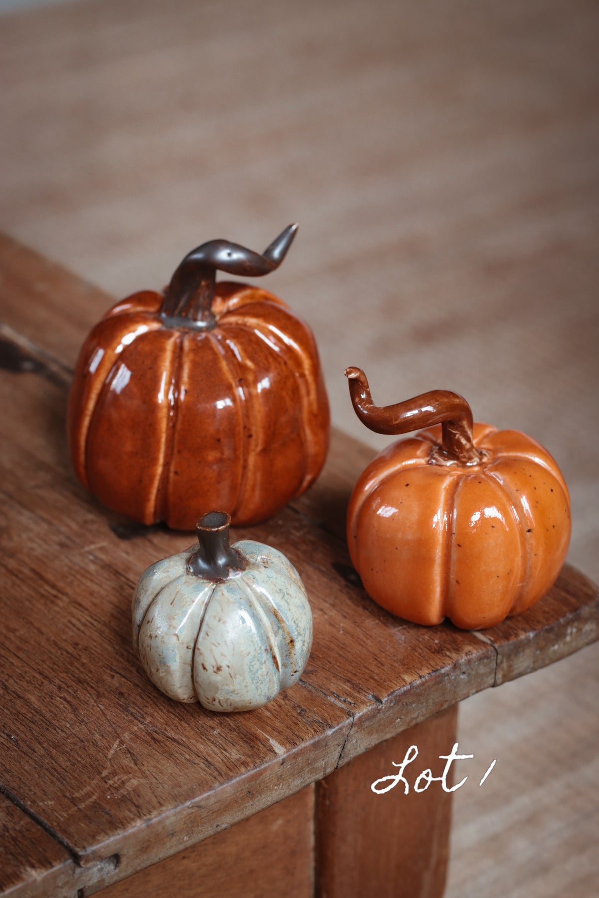 Lot citrouilles décoratives