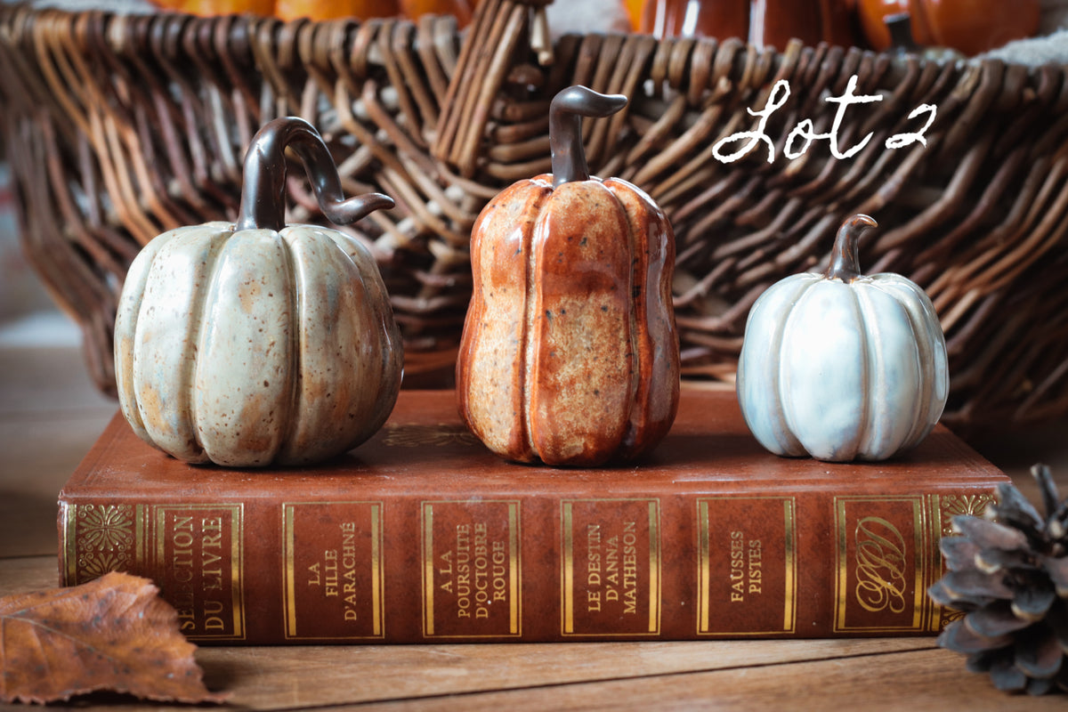Lot citrouilles décoratives