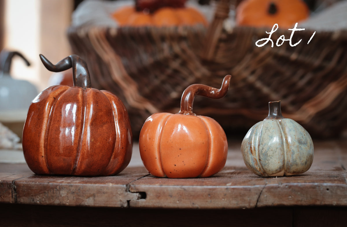 Lot citrouilles décoratives